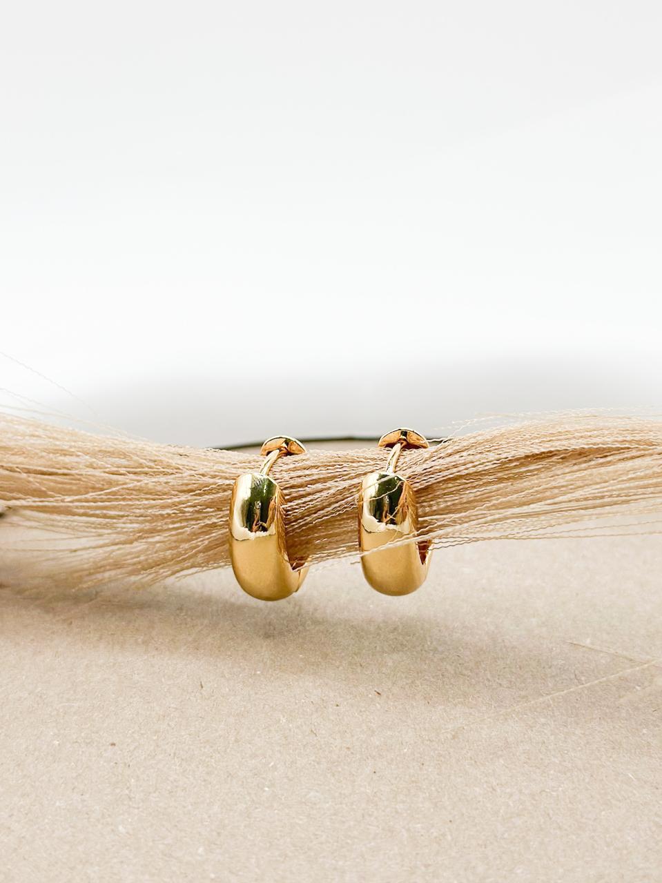 Brya Gold Earring