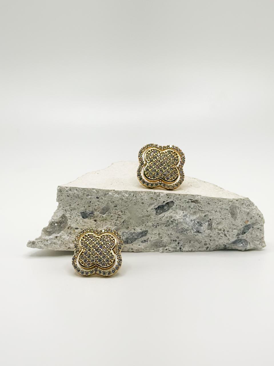 Amate Shiny Earring
