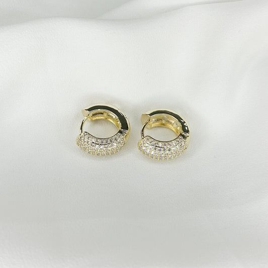 Adrielle Shiny Hoop Earrings