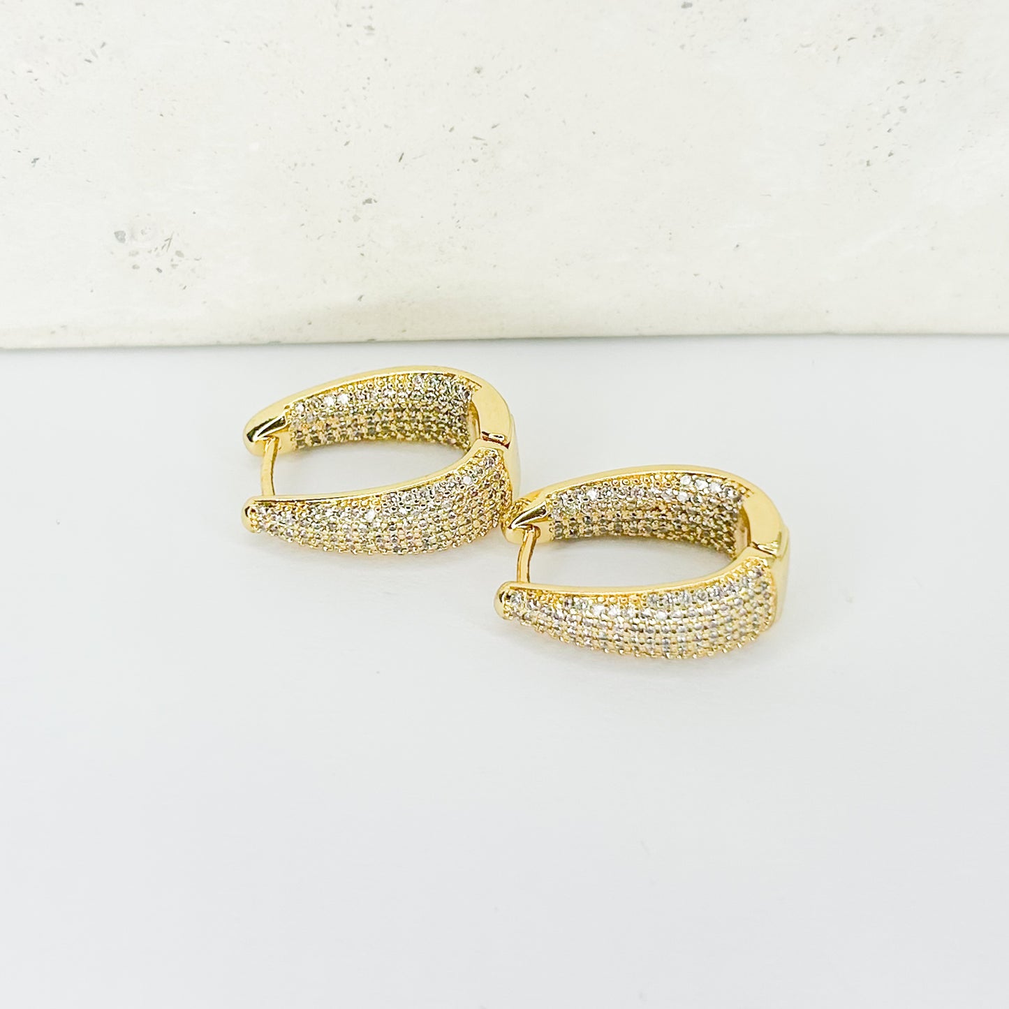 Delilah Shiny Hoop Earrings