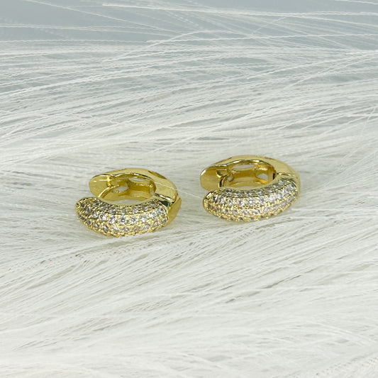 Neela Shiny Hoop Earrings