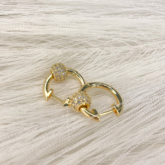 Shawn Shiny Hoop