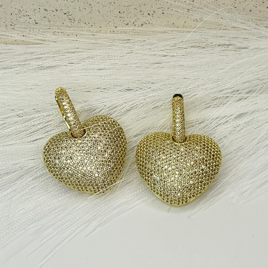 Selina Shiny Hoops Earrings