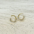 Marlene Cuff’s