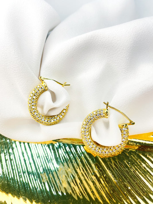 Rina Shiny Gold Earrings