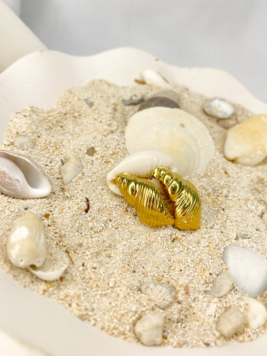 Morena Gold Stud Earrings