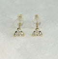Amy Shiny Stud Earrings