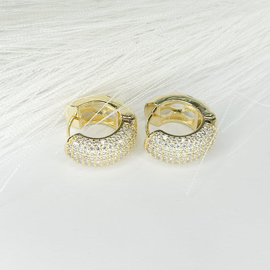 Emmaline Shiny Hoop Earrings