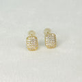 Mindy Shiny Stud Earrings
