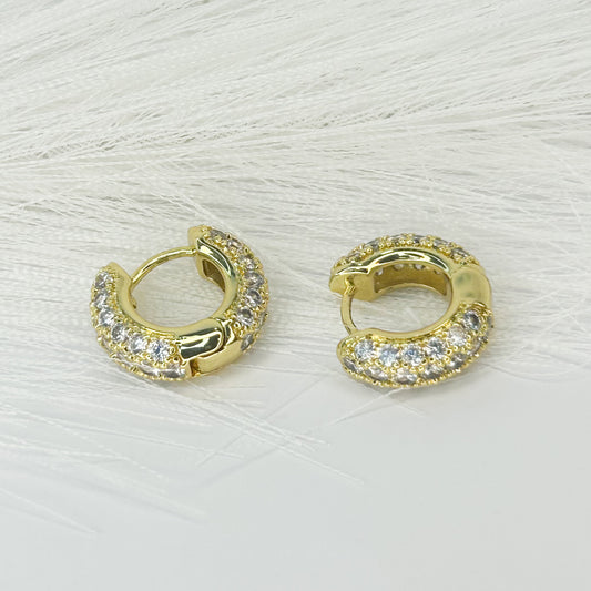 Avala Shiny Hoop Earrings