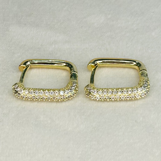 Luciana Shiny Hoop Earrings