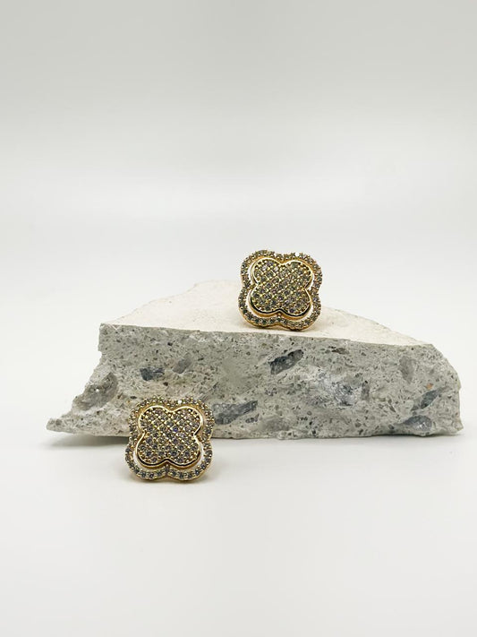 Amate Shiny Earring