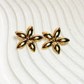 Vae Gold Earrings