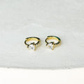 Roselie Shiny Earrings