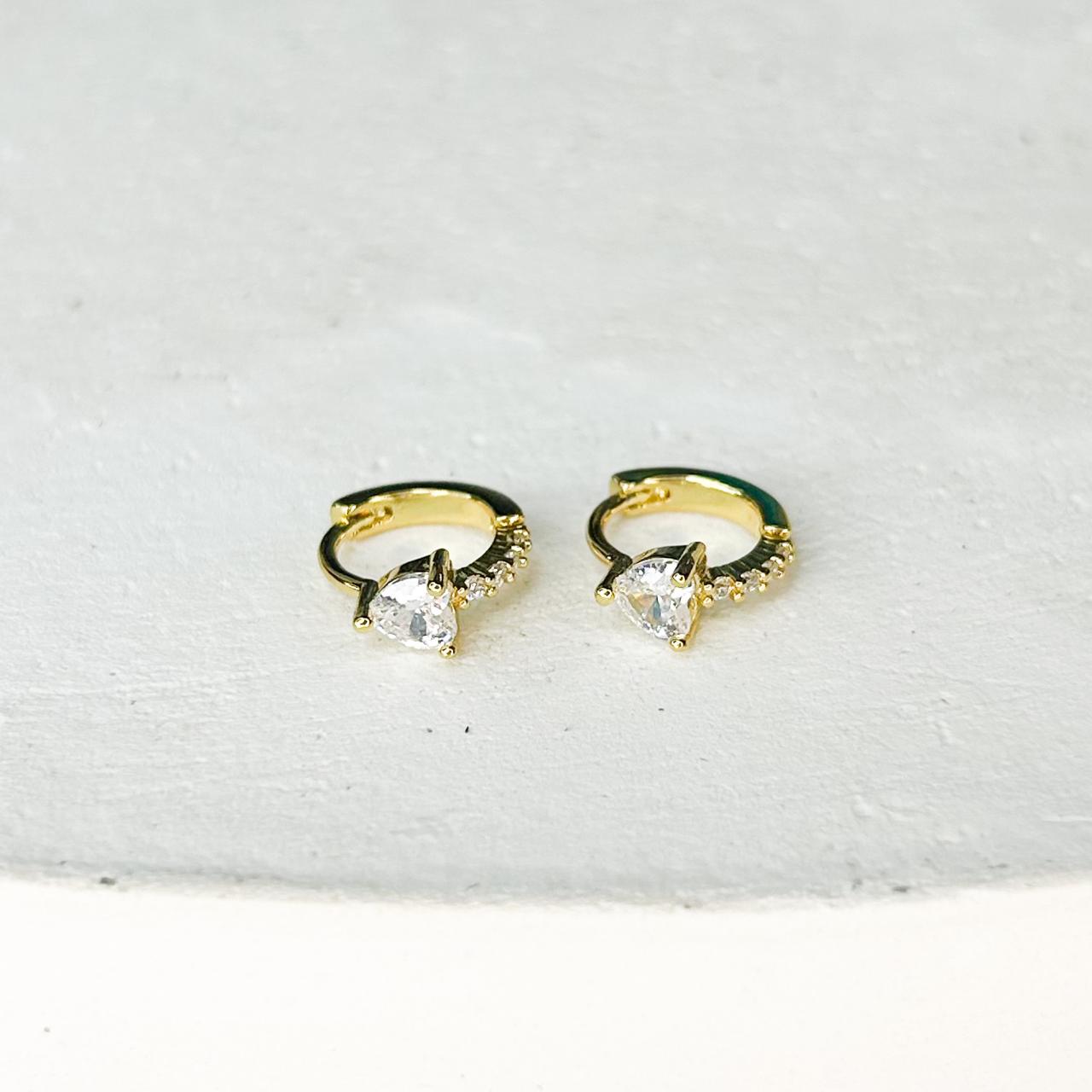 Roselie Shiny Earrings