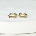 Marea Shiny Earrings