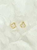 Avenoir Coloring Earrings