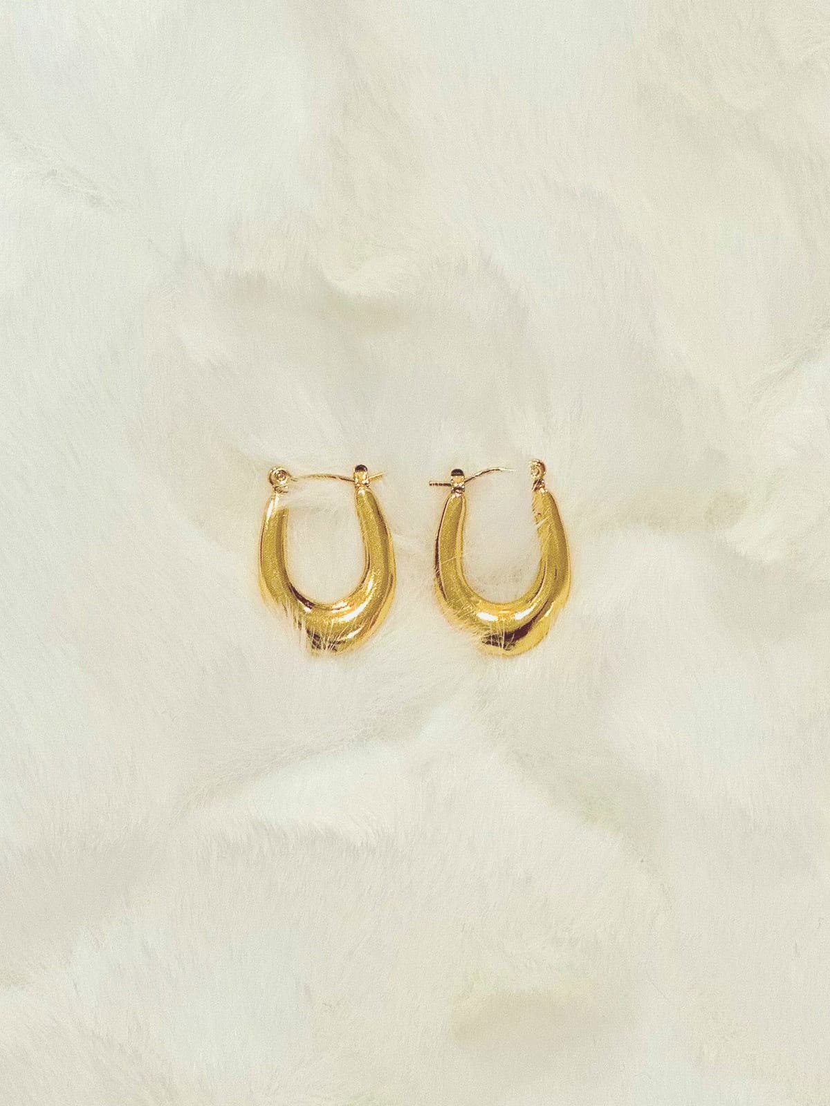 Yvra Gold Earrings